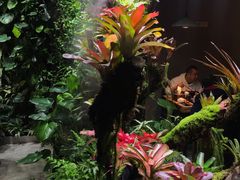 景观位-森味薪火烧•烧鸟居酒屋•日本料理(望京店)