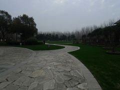 -合肥滨湖国家森林公园