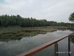 -昆山城市生态森林公园