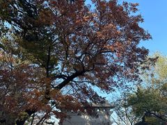 -妙峰山风景名胜区
