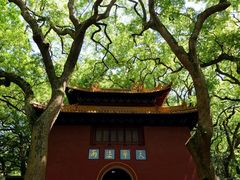 -普陀山风景名胜区-法雨禅寺