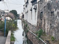 -狐狸家·酸奶酪专门店(平江路店)