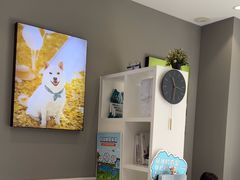 -关爱宠物医院·猫科中心·消化科(滨湖万达分院)