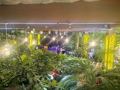 -九尊食上(生态园林酒店)