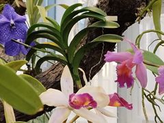 -国家植物园南园