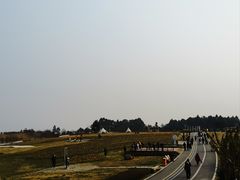 -空港花田景区