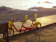 自行车-白城沙滩