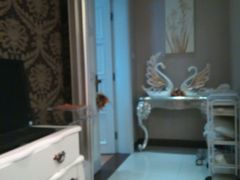 -麦当劳(百利广场店)