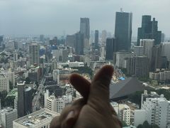 -东京塔海贼王主题公园