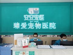 -安安宠医·臻爱宠物医院·宠保定点(营门口路分院)