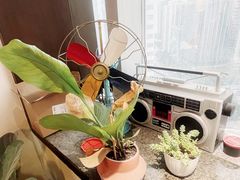 -造寸眼镜·蔡司官方授权店(东门店)