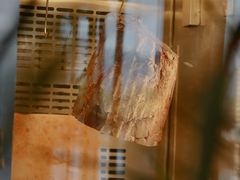 -West10 西拾·西餐厅·创意菜(未来科技城店)