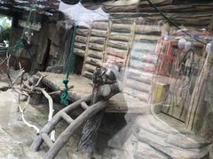 -灵玲国际马戏城