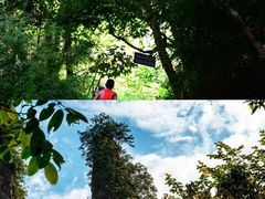 -光雾山旅游景区