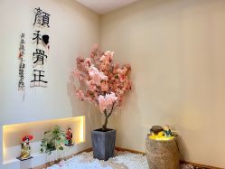-颜和骨正·明哲式骨相美学整骨