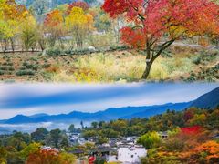 -塔川景区