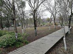 -上海海湾国家森林公园