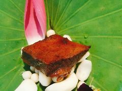 -松鹤楼·非遗·苏帮菜(融科店)
