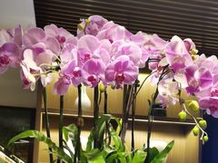 -花锦堂·隐庐