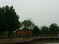 -东郊湿地公园