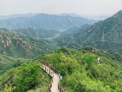 -大岭沟猕猴桃谷风景区