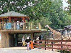 -大连森林动物园