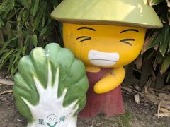 -上海都市菜园