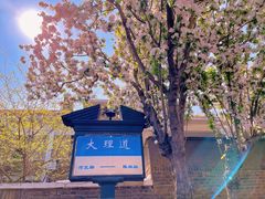 -天津五大道文化旅游区