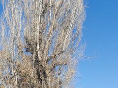 -张掖大佛寺景区