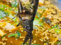 -满诗爷黄辣丁(金岛花园店)
