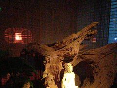 -足本纪·足道 SPA 简餐 小吃(文三西路店)