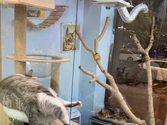 -牛喵喵铜锅牛肉馆