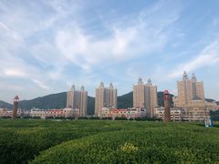 -星海广场