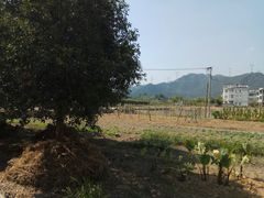 -朱洪元苏式面馆(绿宝广场店)