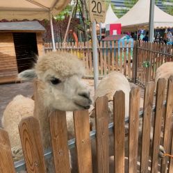 -萌宠亲子动物乐园(槐房万达店)