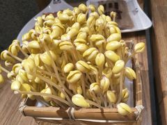 黄豆芽-巴奴毛肚火锅(安阳相州店)