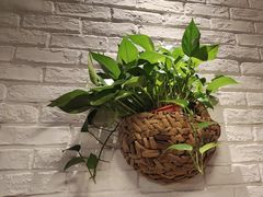 -7017浙菜•建德味(市心北路店)