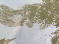 -思念果岭悦温泉