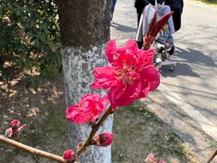 -南京市江宁方山