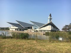 -盐城丹顶鹤湿地生态旅游区