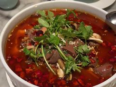 特色毛血旺-蝶园·装修中(BFC外滩金融中心店)