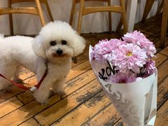 -饵块食光·云南有机手作饵块