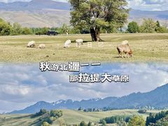 -新疆那拉提国家旅游度假区