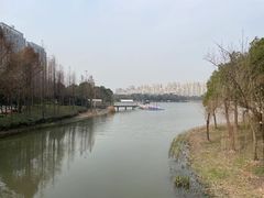 -南翔镇银翔湖公园