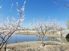 -东郊湿地公园