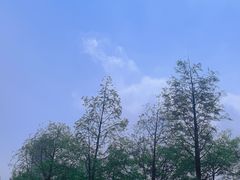 -厦门园林博览苑