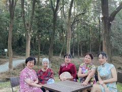 -象山森林公园