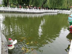 -丰台花园