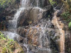 -南丹山森林王国