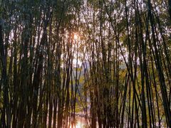 -贵阳市花溪国家城市湿地公园